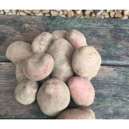 Pommes de terre Désirée 2kg