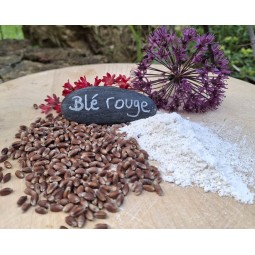 Risotto de blé rouge