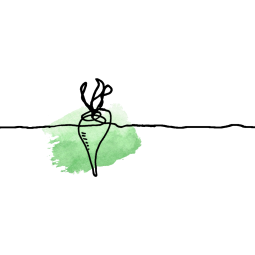 Sucre cristallisé, 1kg