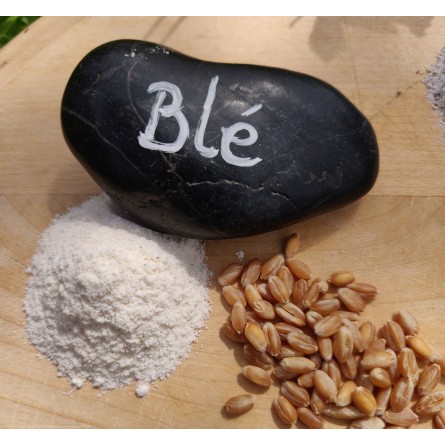 Farine bise de blé 5kg