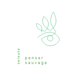 Vinaigre aux Fleurs de Sureau