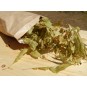 Infusion Tilleul 40g